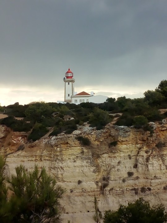 NãoMeCansoDisto_carvoeiro5.jpg