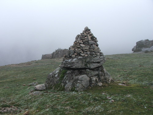 DSCF2117