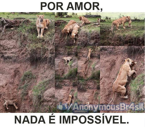 poramor.png poramor.png