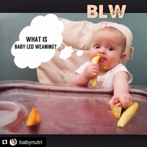 AC_Babynutri.jpg AC_Babynutri.jpg