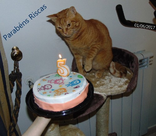 Riscasfaz5anos.JPG Riscasfaz5anos.JPG
