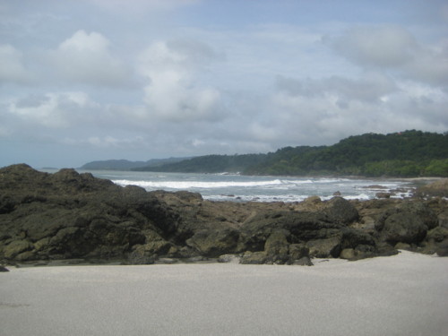 IMG_1294.JPG