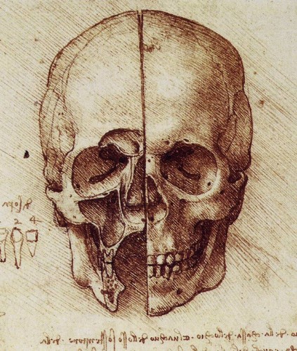 leonardo da vinci.jpg