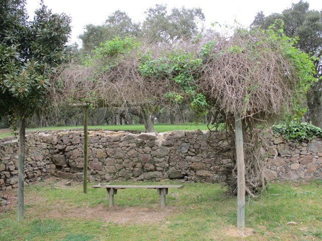 168385702_3773440762771201_3753968292916434399_n.j