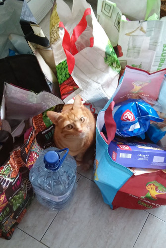 supermercado3.jpg supermercado3.jpg