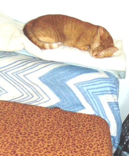 modoinverno.JPG