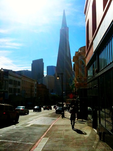 Photo1.jpg