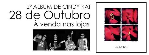 cindy cat