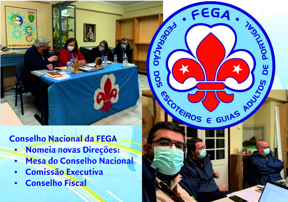 fega.jpg