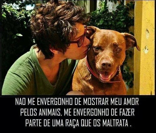 animais.jpg animais.jpg
