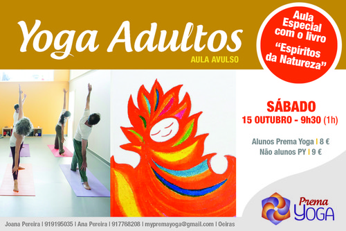 YOGA ADULTOS AULA LIVRO.jpg