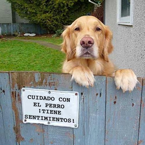 Ele tem sentimentos