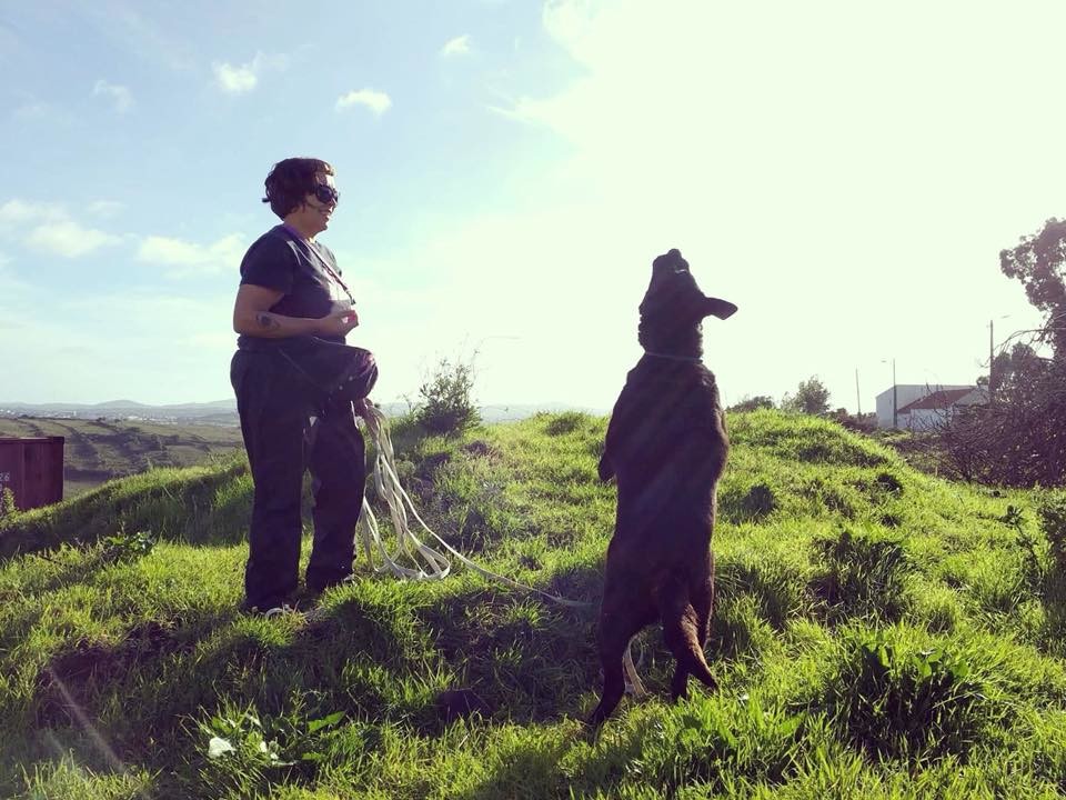 mel_uppa_animais.j mel_uppa_animais.j