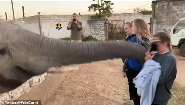 HD Elefante dá chapada a jovem que lhe queria tir