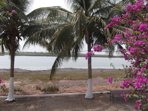 DSCF8054.JPG