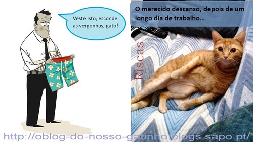 gatodespidodepelos.jpg
