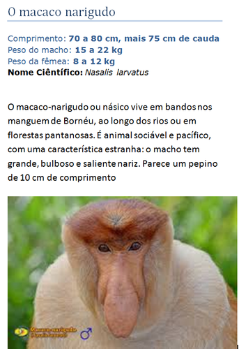 macaco.png