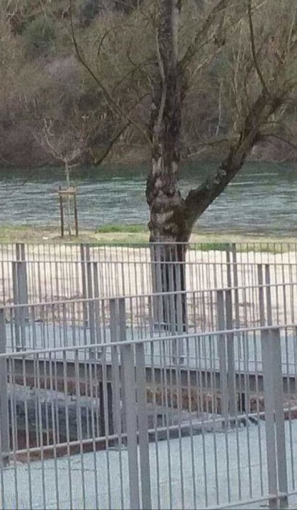 received_2909380112721533.jpeg received_2909380112721533.jpeg