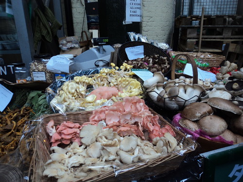 DSC07860.JPG DSC07860.JPG