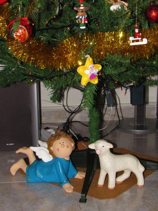 IMG_7062.JPG IMG_7062.JPG