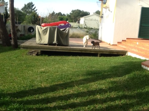 fotografia.JPG