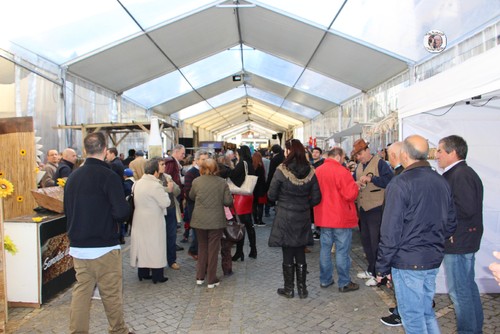 Feira do Queijo em Seia - 25  02  2017 !!! 288.JPG