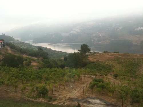 fotografia 1.JPG