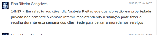 vira latas.png vira latas.png