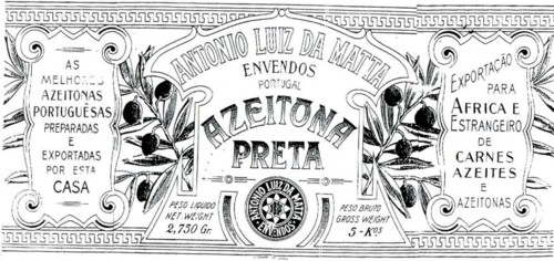 azeitonas 1.jpg