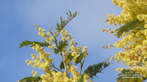P1080348
