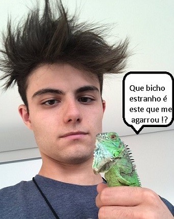 iguana.jpg