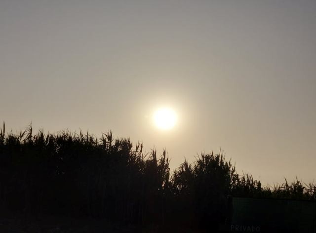 236051908_828775851342356_3446409661617379554_n.jp