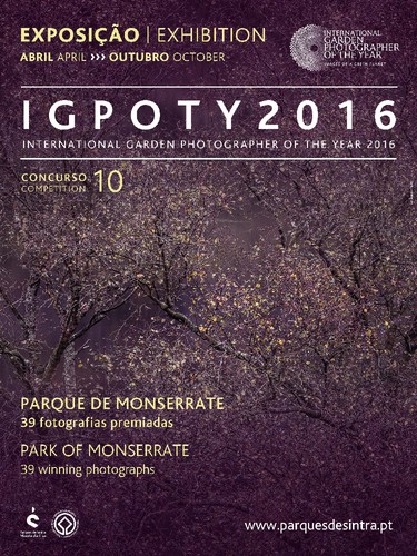 IGPOTY_2017_Cartaz.jpg IGPOTY_2017_Cartaz.jpg