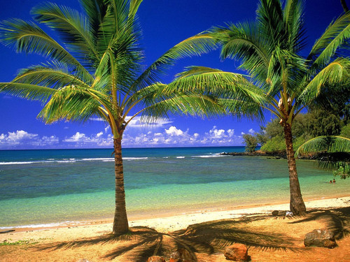 hawaii-1.jpg
