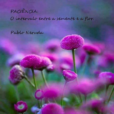 Paciência
