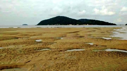 guaratuba-ocean-receding-event-september-21-2017-b guaratuba-ocean-receding-event-september-21-2017-b