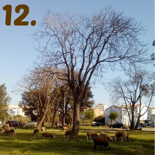 quinta 16.jpg quinta 16.jpg