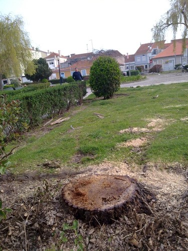 Imagem 027.jpg