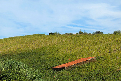 Blogue_paisagem53_Pocinho2016.jpg Blogue_paisagem53_Pocinho2016.jpg