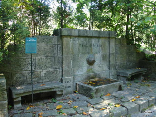 Campanh%E3 e SMA.jpg