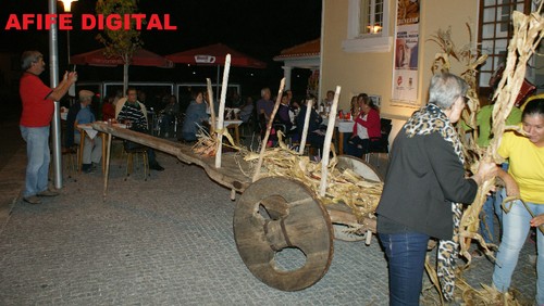 DSC09225.JPG