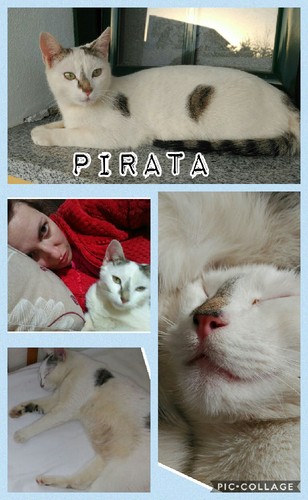 Collage 2017-03-30 20_15_52.jpg Collage 2017-03-30 20_15_52.jpg