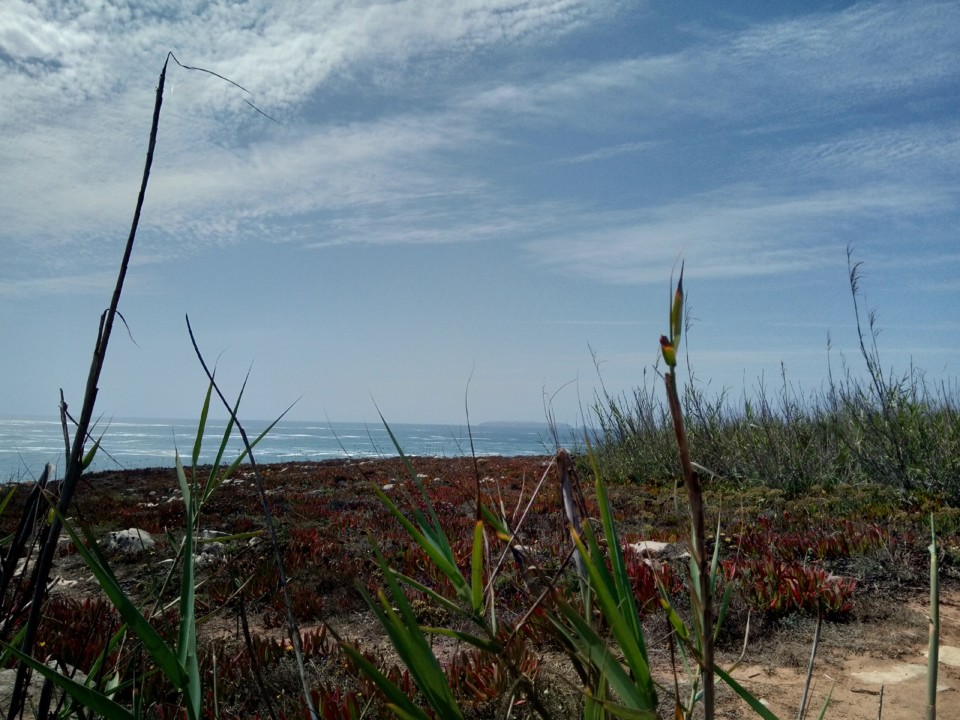 IMG_20190809_153704.jpg