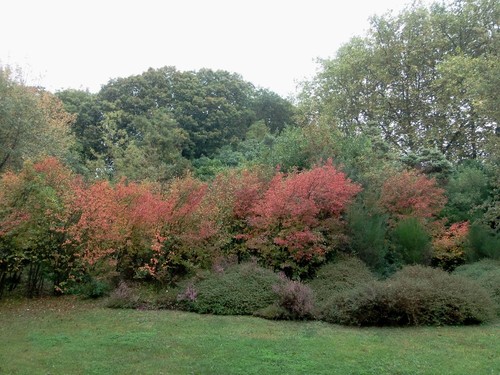 jardim 1.JPG