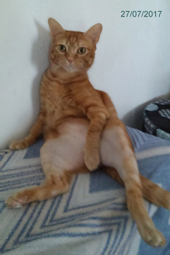imafem01.jpg imafem01.jpg