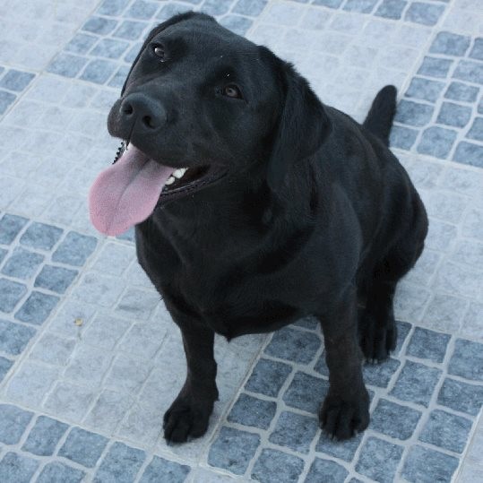 11889685_1201285686564896_7600039142278116049_n.jp