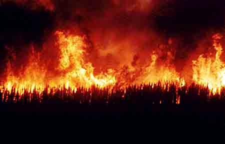 Os%20Grandes%20Incêndios2[1].jpg