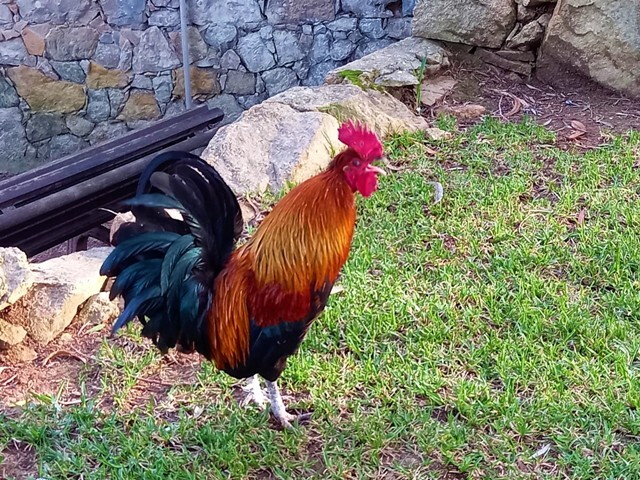 336897582_631157988845962_1381977133205264022_n.jp