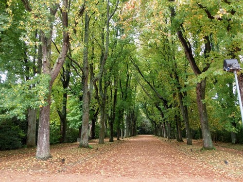 jardim 2.JPG