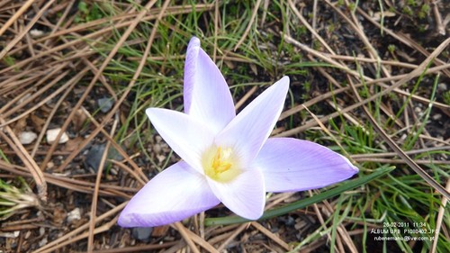 P1080402